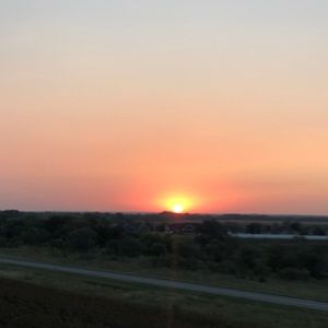 Meet your Posher, Madison